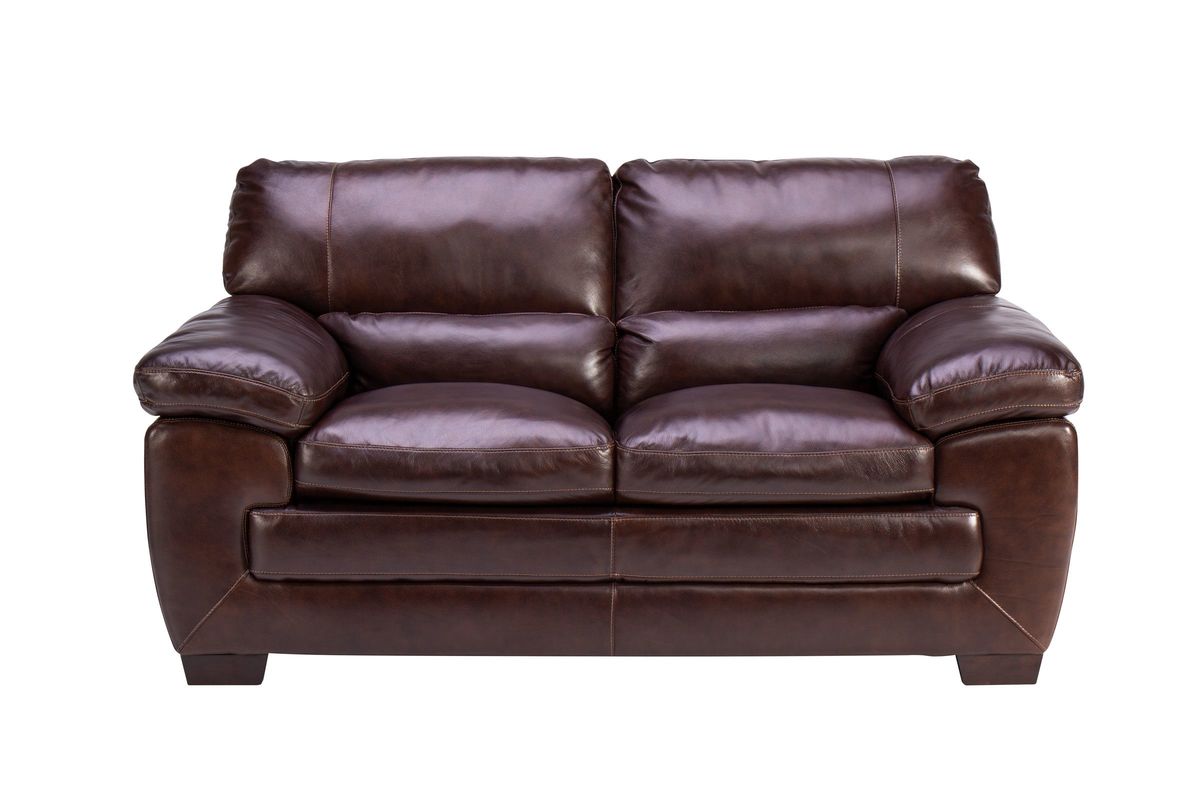 Spencer Leather Loveseat at GardnerWhite