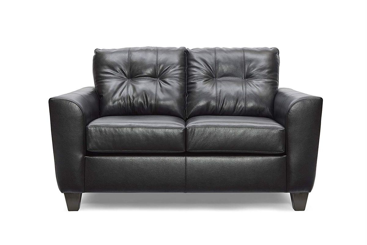 Belden Leather Loveseat at GardnerWhite
