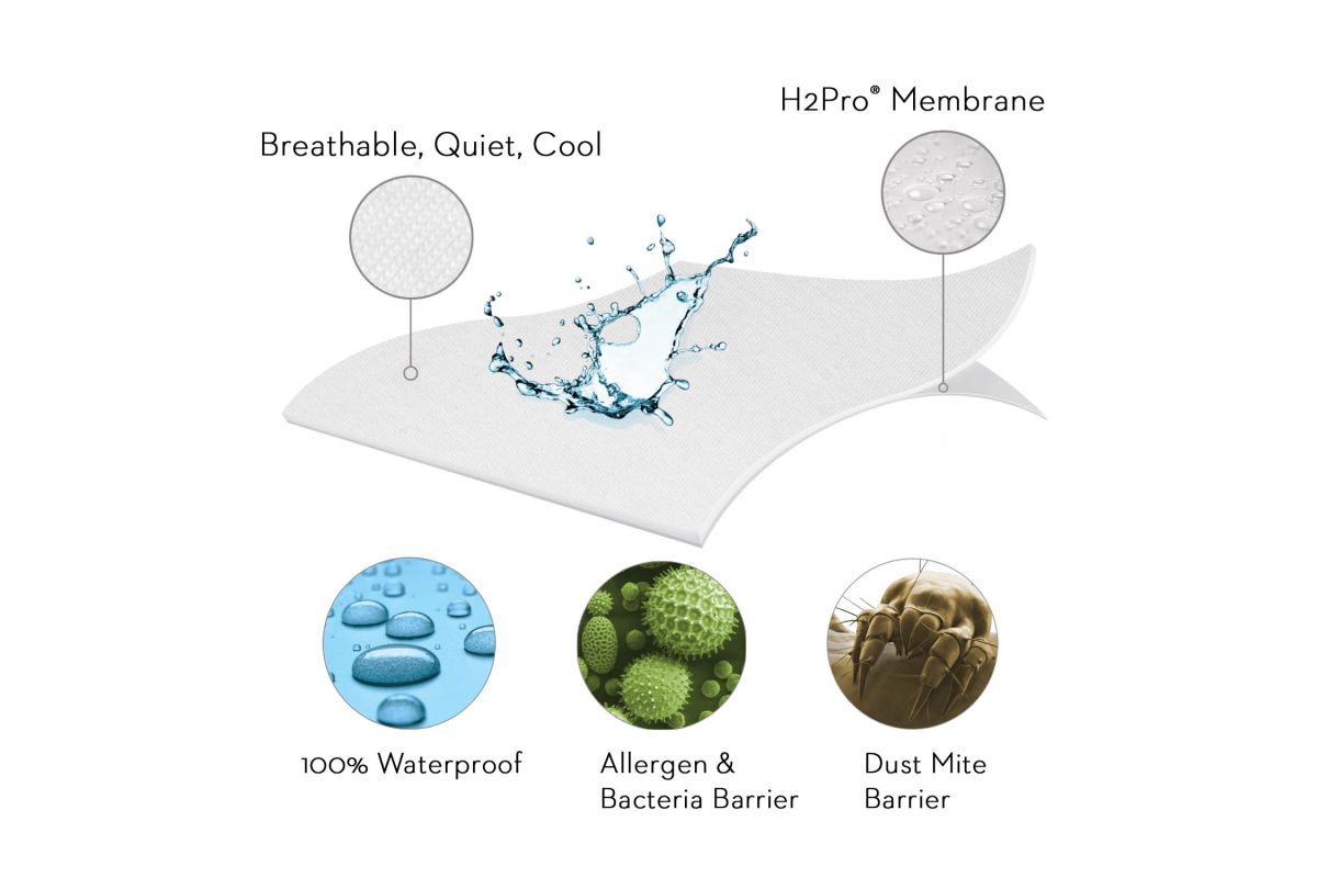 Encase Box Spring Protector King