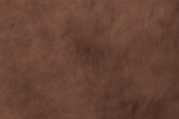 Wesley Brown Leather Loveseat