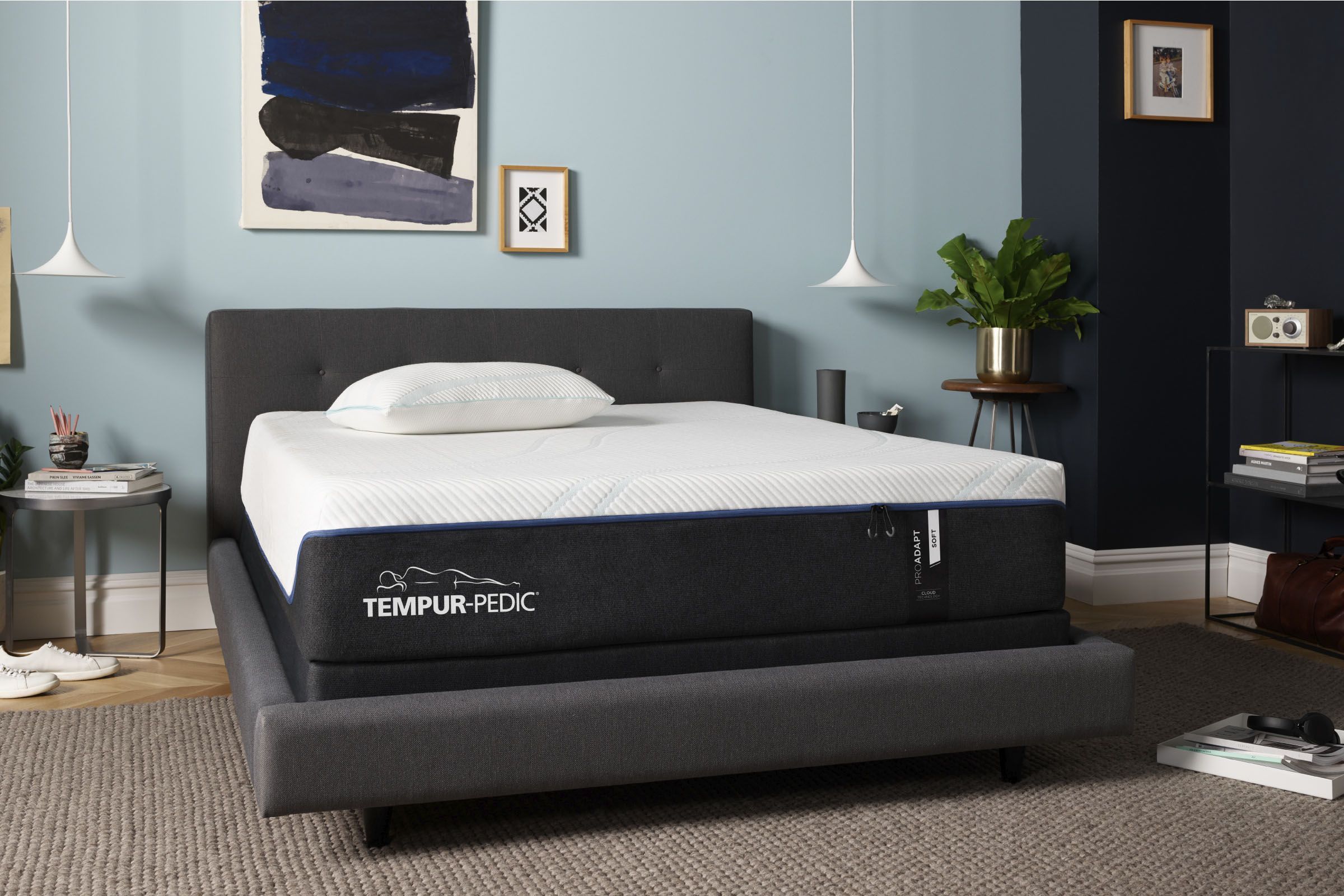 TEMPUR-ProAdapt™ 1.0 Soft Queen Mattress at Gardner White