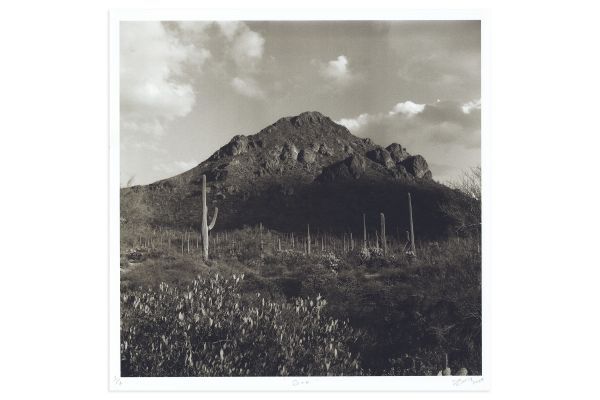 Lookout: God by Danya Ensing