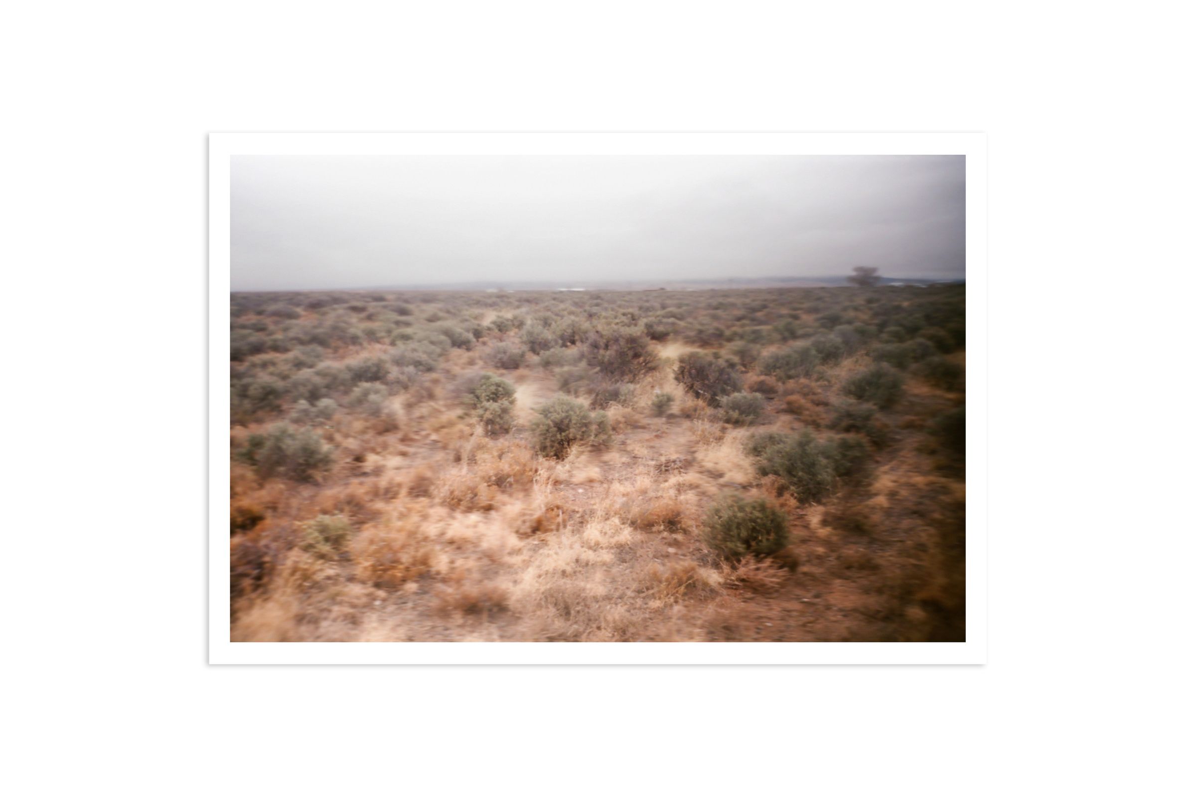 XL Rio Print by Danya Ensing