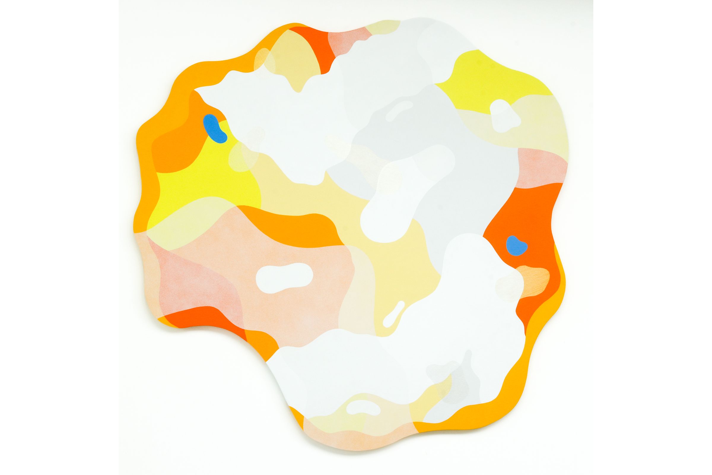 Sunny in February by Dustin Cook