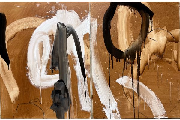 Stepped waterfall before rising/setting moon by Liz Davis