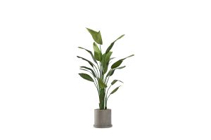 Traveler Palm in Marta Planter 8′ 