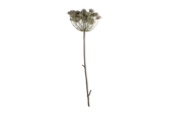 Artificial Angelica Haze