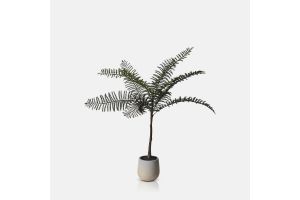Artificial Tree Fern