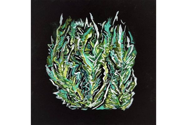 I Know a Guy Who Loves Leaves by Cyd Gottlieb