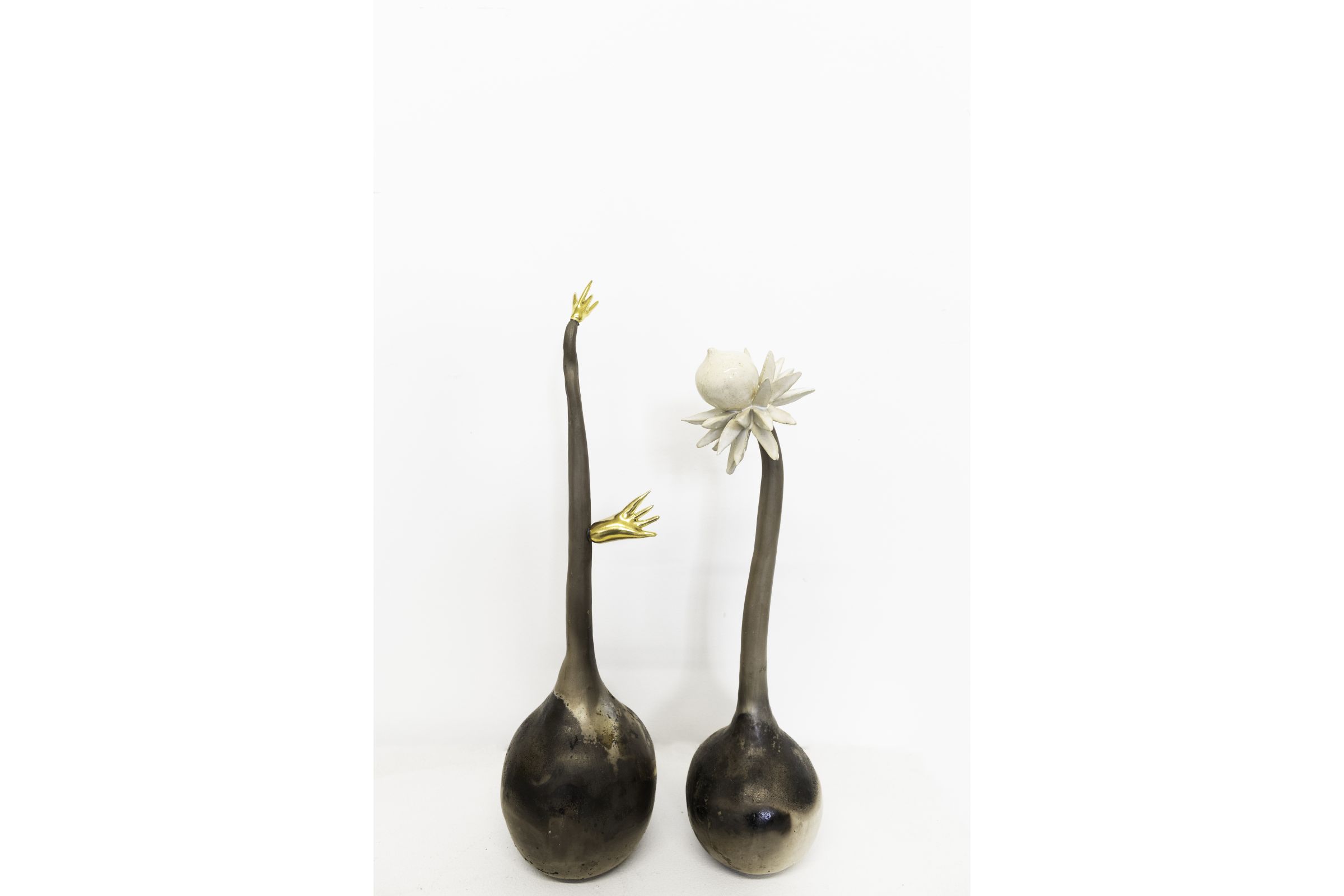 Burning Seeds by Lisa Farris