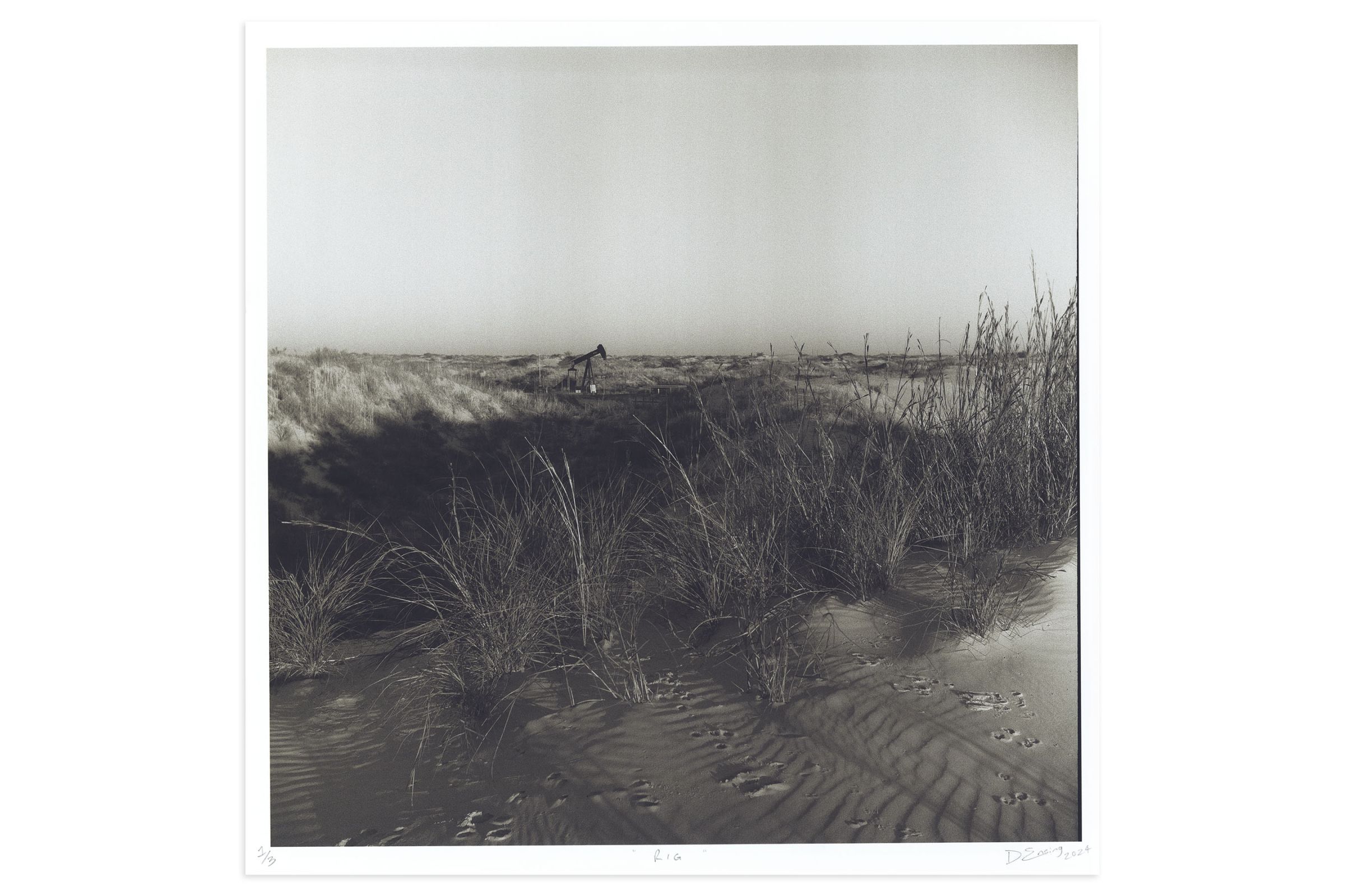 Lookout: Rig by Danya Ensing