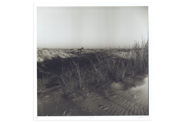 Lookout: Rig by Danya Ensing