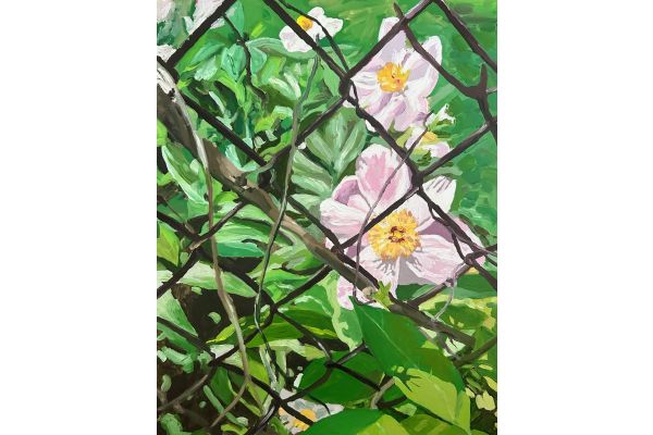 “Pink Peonies through the Fence” by Kaysi Grimes