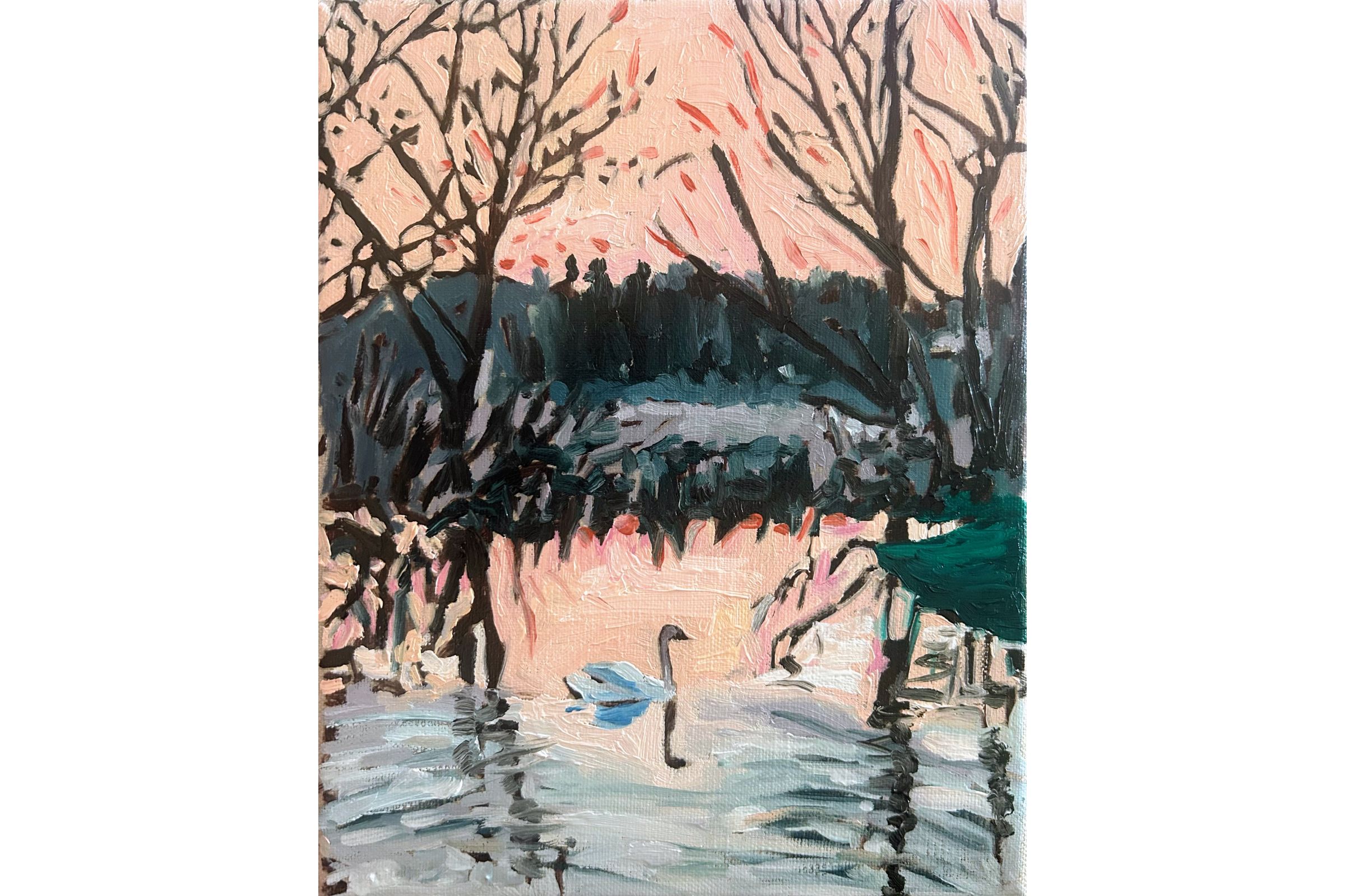 “Swan in the Park” by Kaysi Grimes