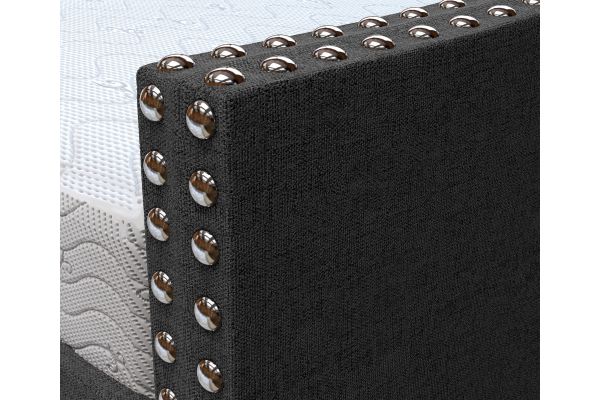Mandrake Daybed with Trundle - Black