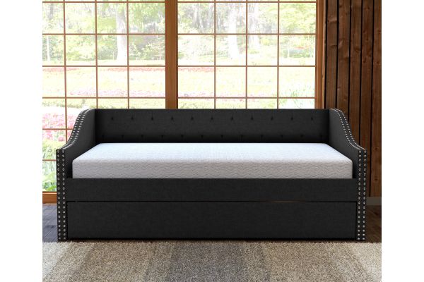 Mandrake Daybed with Trundle - Black