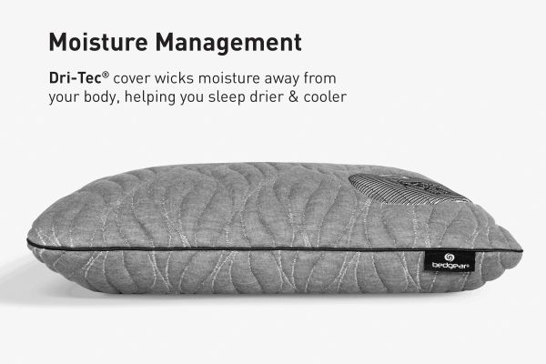 Aspen Performance PIllows