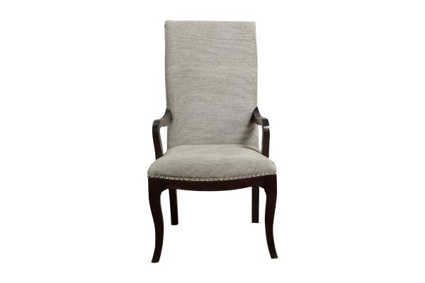 Savion Arm Chair