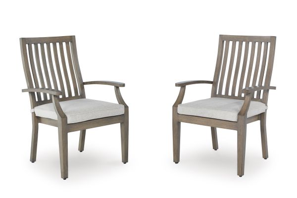 Rainier Ranch Outdoor Arm Chair with Cushion (Set of 2)