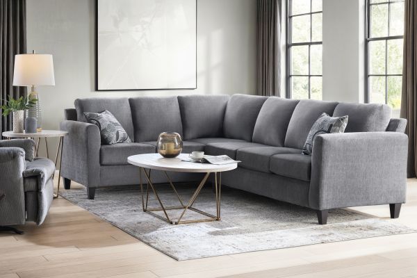 Sims Grey 2-Piece Sectional 