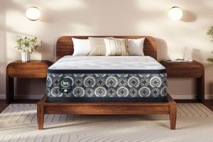 Serta Perfect Sleeper Cascade Canyon Plush Pillow Top Innerspring