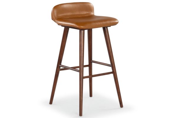 Tazmyn Barstool