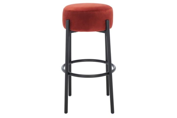 Paisleigh Metal Leg Barstool