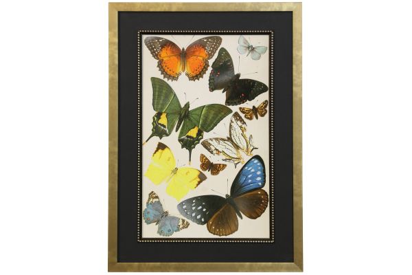 Butterfly II Wall Decor