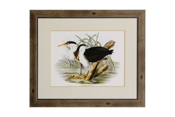 Waterbird Pairing II Wall Decor