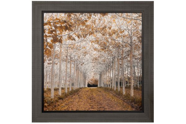 White Gold Wall Decor