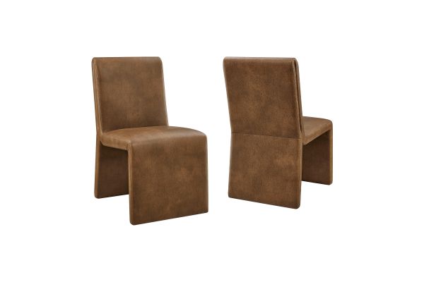 Emory Canyon Vegan Leather Dining Side Chair (Set of 2)