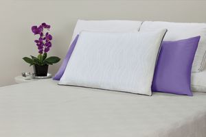 sealy optimum pillow